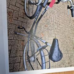 Cykel Itek Zwart, rapporterat av Gemeente Roermond med iLost