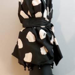 Ombrello, come riportato da Regio West-Vlaanderen utilizzando iLost