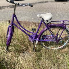 Paarse meisjesfiets, segons s'ha informat a iLost