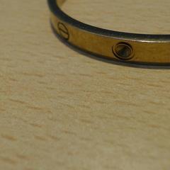 Pulseira goud, como reportado por Walibi Holland utilizando o iLost