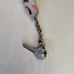Bicycle key, as reported by Connexxion Haarlem IJmond using iLost
