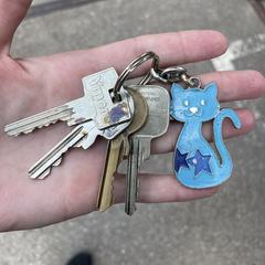 Sleutels met blauwe kat, gerapporteerd met iLost