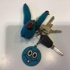 Sleutels, som rapportert av Gemeente Amsterdam ved bruk av iLost