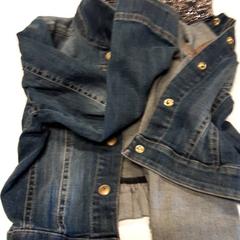 Jasje, segundo informou Qbuzz ZHN usando iLost