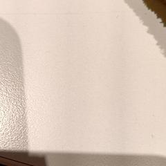 Giacca, come riportato da De Efteling utilizzando iLost