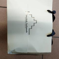 Väska Papieren zak, rapporterat av Regio Antwerpen - Brussel med iLost