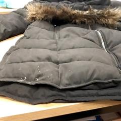 Dzseki Zwart, amint azt RRReis Veluwe Zuid - Ede az iLost segítségével jelentette.