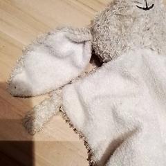 Knuffel, as reported by Beekse Bergen Resorts en Hotel using iLost