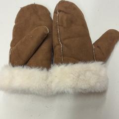 Gloves, as reported by Het Amsterdamse Winterparadijs using iLost