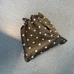 Saco, como reportado por Breng Arnhem utilizando o iLost