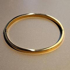 Bracelet, as reported by Madurodam using iLost
