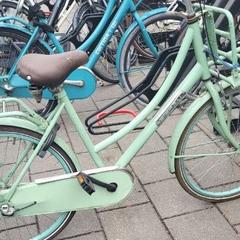 Bike groen Popal, as reported by Gemeente Barneveld using iLost