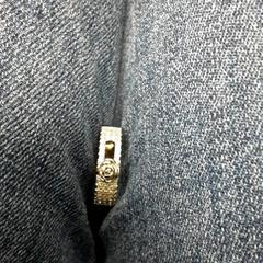 Ring Zilver, gemeldet von Arriva Vechtdallijnen über iLost