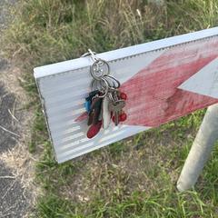 Sleutelbos, iLost'a bildirildiği gibi