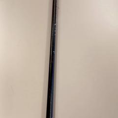 Vycházková hůl - zwart, jak nahlášeno Centraal magazijn pomocí iLost