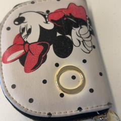 Carteira Nikolaeva, segundo informou GVB usando iLost