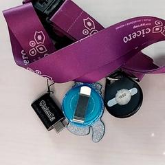 Chaves Paars lint, segundo informou Arriva Limburg Zuid usando iLost