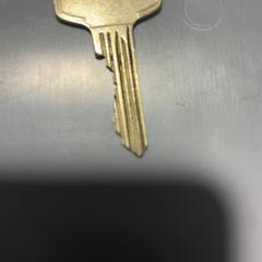 İLost kullanarak Fenix tarafından bildirildiği gibi Anahtar