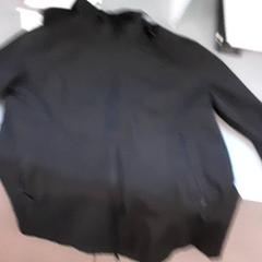 Txamarra, gisa salatu by Diergaarde Blijdorp iLost erabiliz