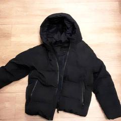 Kurtka, zgłoszono przez Diergaarde Blijdorp przy użyciu iLost