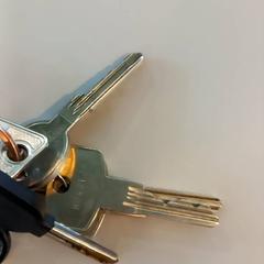 Key, as reported by Arriva Limburg Noord using iLost