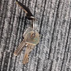 Nøkler, som rapportert av Arriva Vechtdallijnen ved bruk av iLost