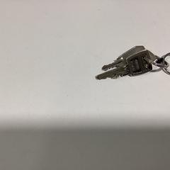 Llaves - 070326 DLDK, ha sido reportado por Ziggo Dome con iLost