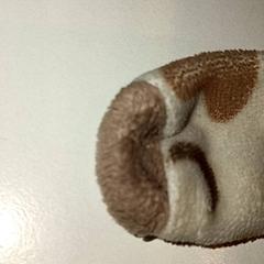 Knuffel, zoals gemeld door De Efteling met iLost