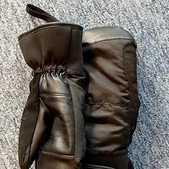 Luva Zwart, segundo informou EBS OV Poeldijk usando iLost