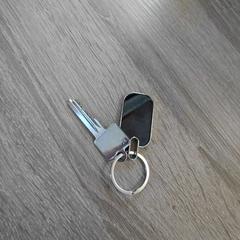 鍵 がiLostで EBS OV Poeldijk によって報告されました