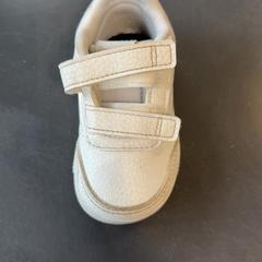 Sko Wit voor baby, rapporterat av Burgers' Zoo med iLost