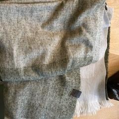 숄, iLost를 사용하여 Hortus에 보고됨