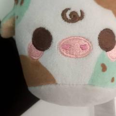 Peluix, segons ha informat allGo Almere mitjançant iLost