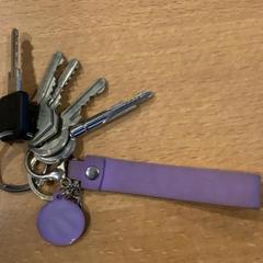 Keychain Met paarse sleutelhanger, as reported by Gemeente Amsterdam using iLost