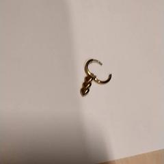 Earring, as reported by IKEA Zwolle using iLost