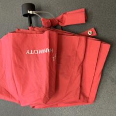 Parapluie Rot, a été signalé par Schönbrunn "Group Center" utilisant iLost