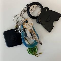 Sleutels Met tracker, zoals gemeld door Arriva Limburg Zuid met iLost