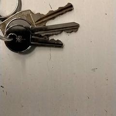 المفاتيح (متنوعة)، كما تم الإبلاغ عنه بواسطة GVB عبر iLost