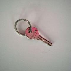 Clé, a été signalé par Twisto utilisant iLost