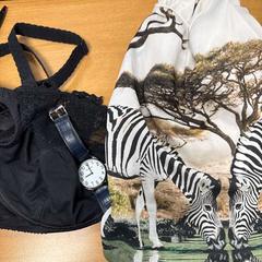 Horloge, bh en shirt, segons ha informat VITAZ campus Sint-Niklaas mitjançant iLost