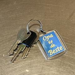 sleutelbos, ha sido reportado a iLost