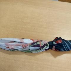 İLost kullanarak Regio Limburg - Leuven tarafından bildirildiği gibi Şemsiye