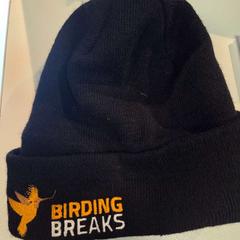 Beanie, jak nahlášeno AFAS Live pomocí iLost