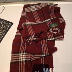 Châle Rood ruiten, a été signalé par Rijksmuseum van Oudheden utilisant iLost