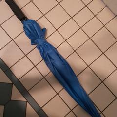 İLost kullanarak Hortus Botanicus Amsterdam tarafından bildirildiği gibi Paraplu Blauw