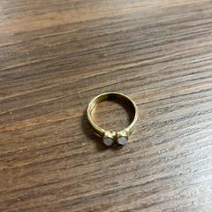Ring, gemeldet von Pathé Leeuwarden über iLost