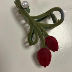 Pince à cheveux groen rood roos, a été signalé par Koninklijk Theater Carré utilisant iLost