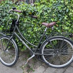 Cortina tranport U4 damesfiets grijs-groen, iLost-i jakinarazi zaion moduan