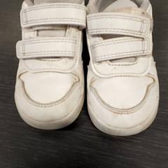 좀도둑 Wit, iLost를 사용하여 Centraal magazijn에 보고됨