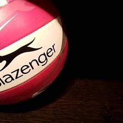 Pilota, segons ha informat Beekse Bergen Resorts en Hotel mitjançant iLost